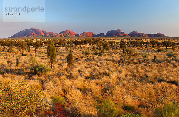 Landschaftlich schön  landschaftlich reizvoll  Olgas  Kata Tjuta  Sonnenaufgang  Einsamkeit  Australien  Northern Territory  Rotes Kliff