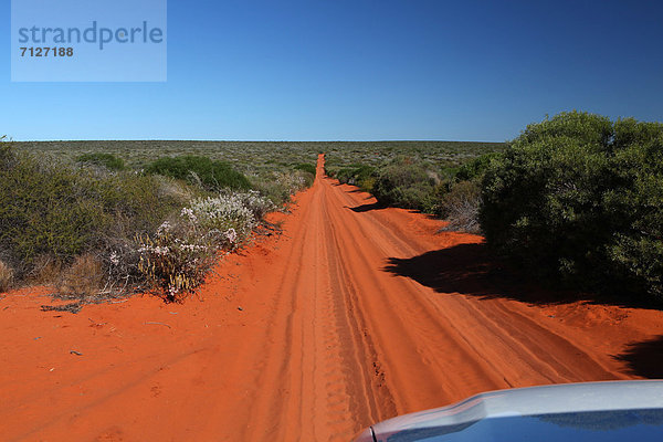 Rollbahn  Kleintransporter  Auto  Abenteuer  Straße  Küste  Landschaftlich schön  landschaftlich reizvoll  Sand  Einsamkeit  rot  camping  Australien  Steppe  Lieferwagen  Westküste  Western Australia