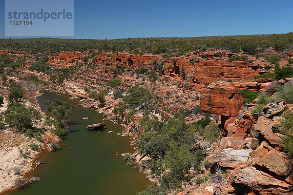 Küste  Landschaftlich schön  landschaftlich reizvoll  Natur  fließen  Fluss  Ansicht  Schlucht  Australien  Kalbarri  Rotes Kliff  Westküste  Western Australia