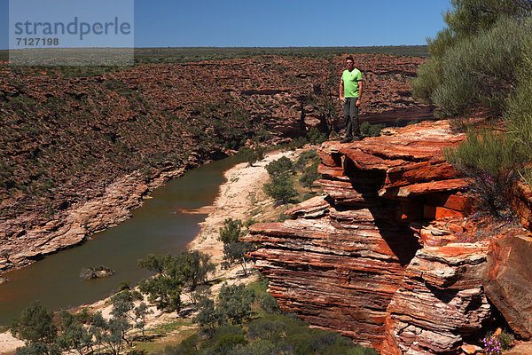 Mann  Gefahr  Steilküste  Küste  Anmut  fließen  Fluss  Schlucht  Bergwerk  Grube  Gruben  Australien  Kalbarri  Rotes Kliff  Westküste  Western Australia