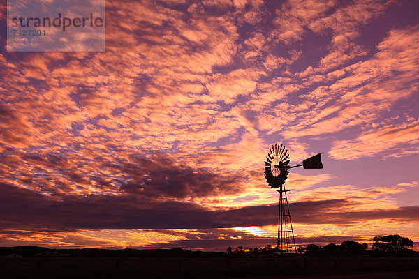 Windturbine Windrad Windräder Kitsch Wolke Abenteuer Sonnenuntergang Himmel Landschaftlich schön landschaftlich reizvoll Einsamkeit Outback - Australien Australien