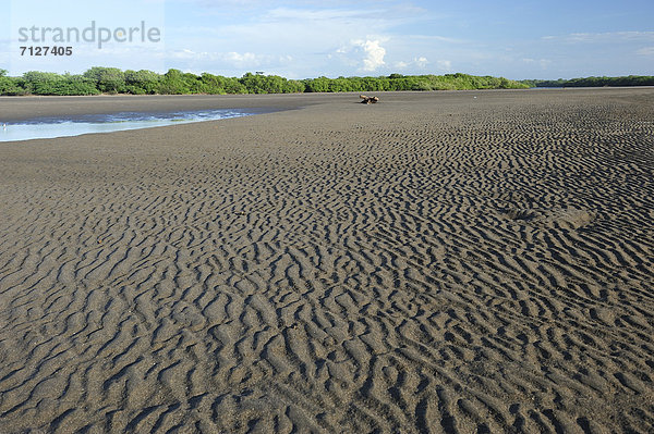 Mündung  Gewässer  Naturschutzgebiet  Muster  Schutz  Sand  Mittelamerika  Düne  Leon  Nicaragua  Schnittmuster