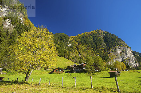 Außenaufnahme  Landschaftlich schön  landschaftlich reizvoll  Europa  Berg  Tag  niemand  Tal  Natur  Alpen  Herbst  Österreich  Bad Gastein  freie Natur  Pongau