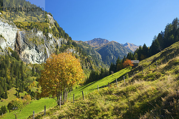 Außenaufnahme  Landschaftlich schön  landschaftlich reizvoll  Europa  Berg  Tag  niemand  Natur  Alpen  Herbst  Österreich  freie Natur  Pongau