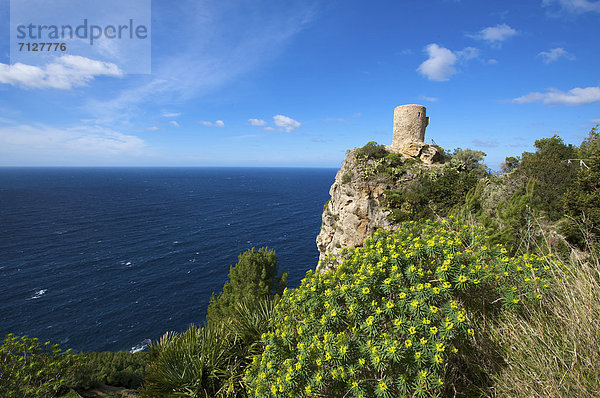 Außenaufnahme  Landschaftlich schön  landschaftlich reizvoll  Europa  Tag  europäisch  Küste  niemand  Meer  Natur  Insel  Mallorca  Balearen  Balearische Inseln  Banyalbufar  freie Natur  Spanien  spanisch
