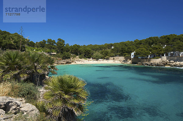 Außenaufnahme  Landschaftlich schön  landschaftlich reizvoll  Europa  Tag  europäisch  Küste  niemand  Meer  Natur  Insel  Mallorca  Balearen  Balearische Inseln  freie Natur  Spanien  spanisch