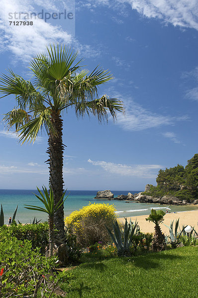Hochformat Außenaufnahme Europa Strand Küste Meer Insel Korfu Sandstrand Griechenland Mittelmeer freie Natur Palmenstrand
