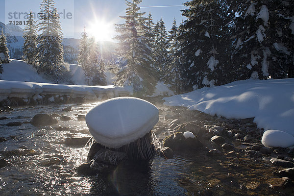 Landschaftlich schön  landschaftlich reizvoll  Winter  Schnee  Bach  Gegenlicht  Österreich  Salzburg  Sonne