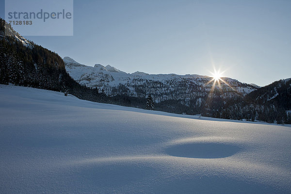 Spur  Landschaftlich schön  landschaftlich reizvoll  Winter  Schnee  Gegenlicht  Österreich  Salzburg  Sonne