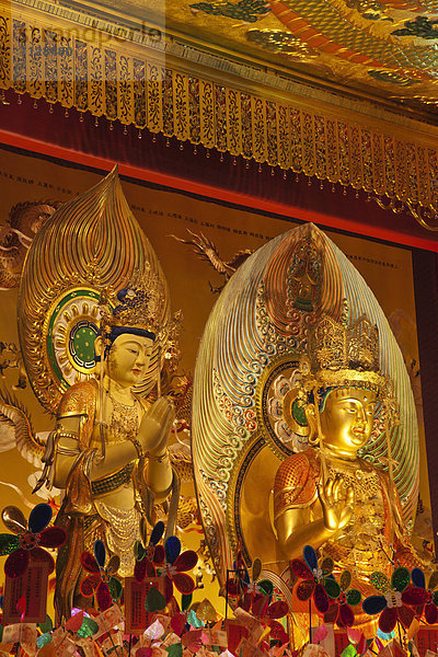 Urlaub  Reise  chinesisch  fünfstöckig  Buddhismus  Tempel  Asien  Buddha  Buddhastatue  Buddha Tooth Relic Tempel  Singapur