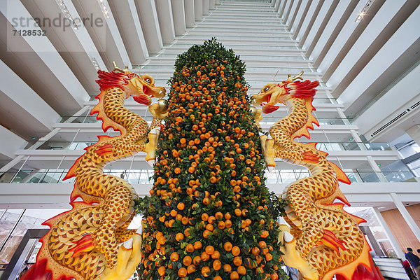Urlaub  Frucht  Reise  Hotel  Architektur  Casino  Mandarine  Asien  Chinesisches Neujahr  Drache  Marina Bay Sands  Singapur