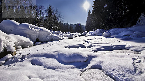 Flußbett Landschaftlich schön landschaftlich reizvoll Winter weiß Natur Fluss Bach Emmentaler Kanton Bern Schnee Sonne Schweiz