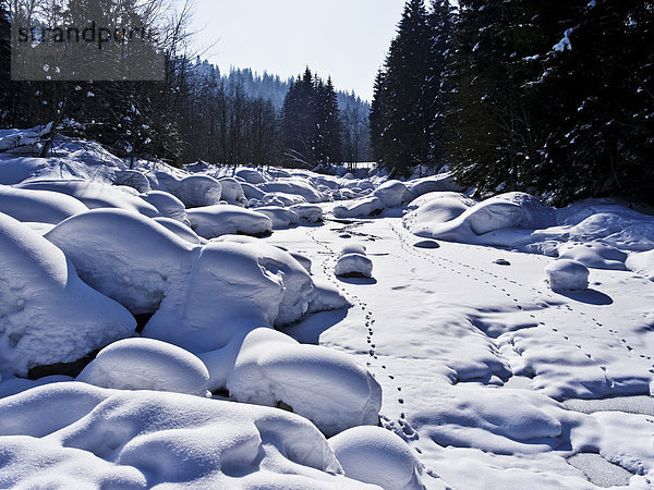 Flußbett Landschaftlich schön landschaftlich reizvoll Winter Stein Natur Spur Emmentaler Kanton Bern Schnee Schweiz