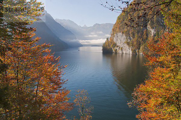 Nationalpark  Farbaufnahme  Farbe  Farbe  Farben  Wasser  Berg  See  Nebel  Herbst  Bayern  Berchtesgaden  Deutschland  Stimmung  Oberbayern