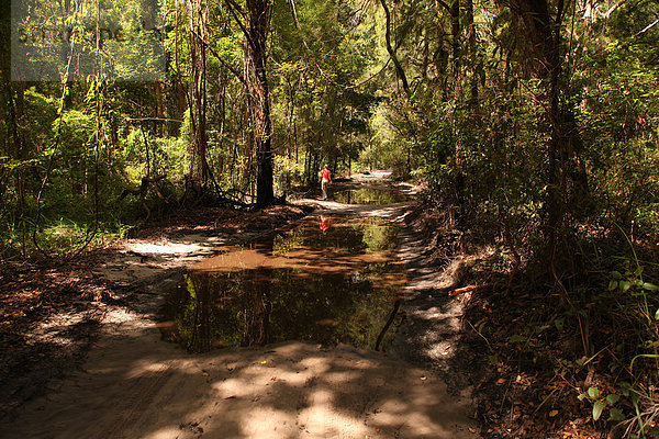 Wasser Rollbahn überqueren Inspektion Abenteuer Attraktivität Baum Wald Natur Holz Pfütze Sand Einsamkeit Geländewagen Flut Allradantrieb Australien Kreuz tief Fraser Island Queensland Steppe Sonne Tourismus