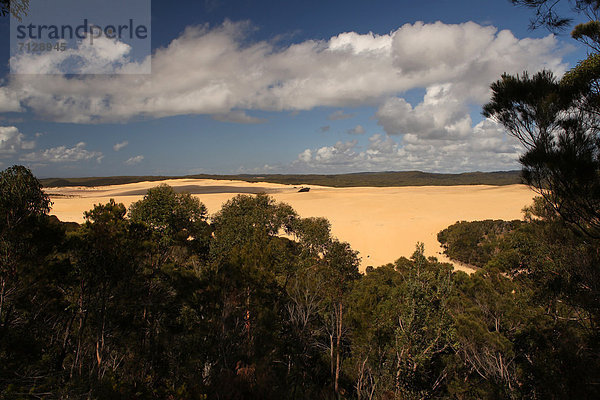 Wolke  Baum  Wind  Sand  Insel  Ansicht  Düne  Wald  Australien  Fraser Island  Queensland