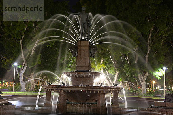 beleuchtet  Wasser  Nacht  Baum  Statue  Feld  Ziehbrunnen  Brunnen  Prüfung  Australien  New South Wales  Sydney