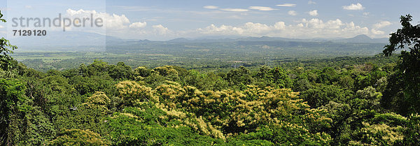 Tropisch  Tropen  subtropisch  Landschaft  Regenwald  grün  Tal  Wald  Natur  Mittelamerika  Ansicht  Honduras