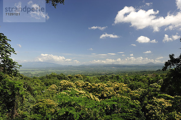 Tropisch  Tropen  subtropisch  Landschaft  Regenwald  grün  Tal  Wald  Natur  Mittelamerika  Ansicht  Honduras