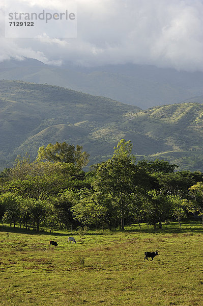 Gebirge  Landschaft  Landwirtschaft  Ruine  Rind  Mittelamerika  Abholzung  Grenze  Guatemala  Honduras  Gebirgszug