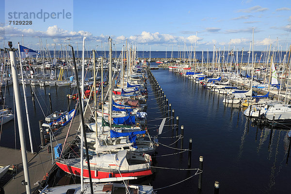 Segeln  Hafen  Fest  festlich  Ostsee  Baltisches Meer  Deutschland  Kiel  Schleswig-Holstein