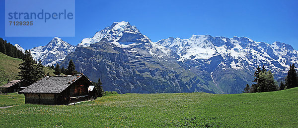 Panorama  Landschaftlich schön  landschaftlich reizvoll  Europa  Berg  Ruhe  niemand  Reise  Natur  Wiese  Geographie  Außenaufnahme  Westalpen  Bern  Berner Oberland  Idylle  Schnee  Schweiz