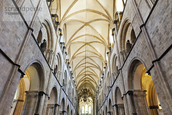 Urlaub  britisch  Großbritannien  Reise  Kathedrale  England  West Sussex