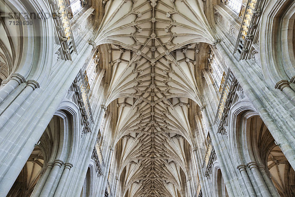 Urlaub  britisch  Großbritannien  Reise  Kathedrale  winchester  England