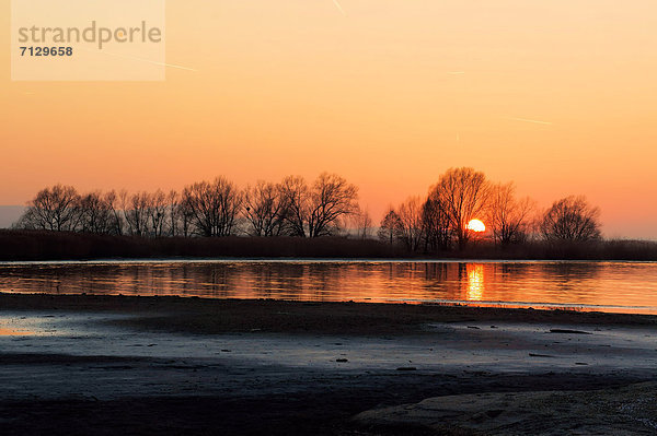 Sonnenuntergang  Landschaft  Bodensee  Österreich  Vorarlberg