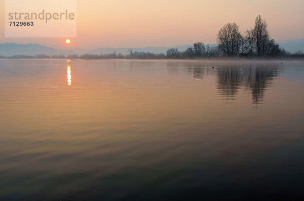 Landschaft  Sonnenaufgang  Bodensee  Österreich  Vorarlberg