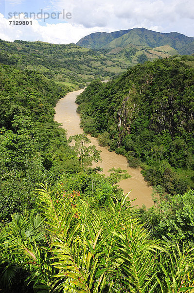 Tropisch  Tropen  subtropisch  Landschaft  grün  Überfluss  Fluss  Flut  Schlucht  Kolumbien  Südamerika