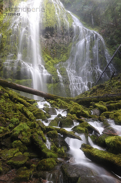 Vereinigte Staaten von Amerika  USA  Amerika  Ereignis  Natur  fließen  Nordamerika  Wasserfall  Cascade Mountain  National Forest  Nationalforst  Oregon