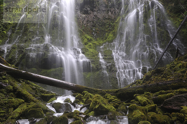 Vereinigte Staaten von Amerika  USA  Amerika  Ereignis  Natur  fließen  Nordamerika  Wasserfall  Cascade Mountain  National Forest  Nationalforst  Oregon