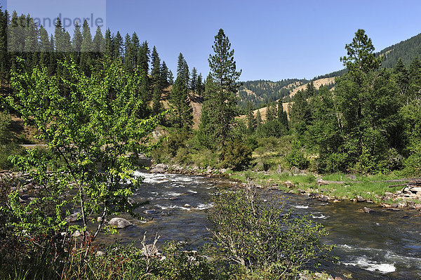 Vereinigte Staaten von Amerika  USA  Amerika  folgen  Natur  Fluss  Nordamerika  Rocky Mountains  Clearwater  Idaho