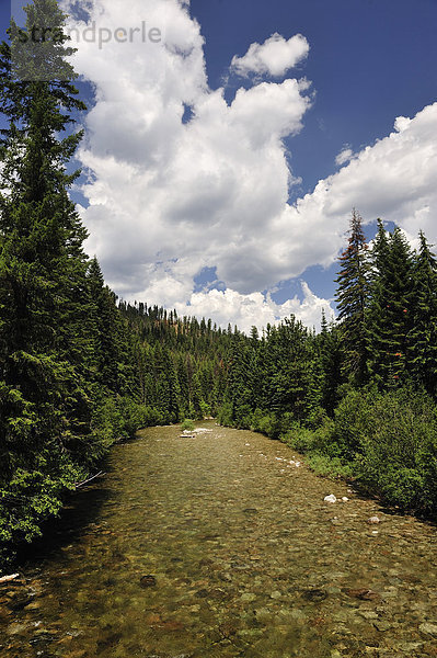 Vereinigte Staaten von Amerika  USA  Amerika  Landschaftlich schön  landschaftlich reizvoll  Natur  Fluss  Nordamerika  Idaho