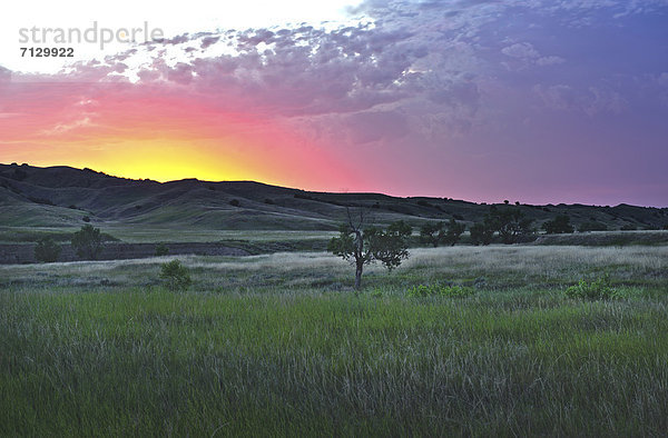 Vereinigte Staaten von Amerika  USA  Nationalpark  Amerika  Sonnenuntergang  Landschaft  Natur  Nordamerika  Steppe  Wiese  Great Plains  Stimmung  South Dakota