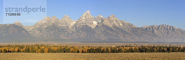 Vereinigte Staaten von Amerika  USA  Nationalpark  Panorama  Amerika  Landschaftlich schön  landschaftlich reizvoll  Querformat  Herbst  Nordamerika  Rocky Mountains  Grand Teton Nationalpark  Laub  Wyoming