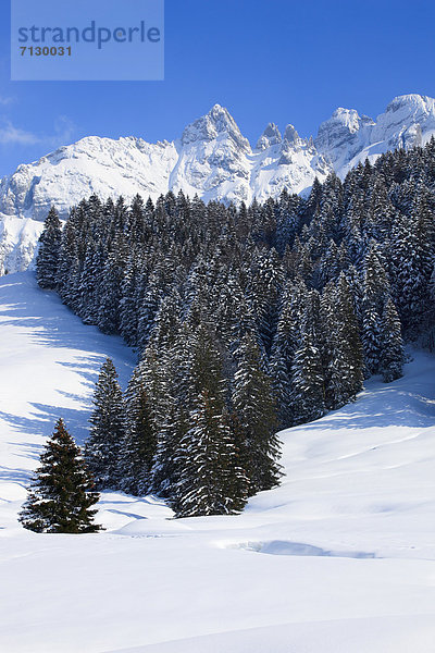 Panorama Europa Schneedecke Berg Winter Sonnenstrahl Baum Himmel Schnee Wald Holz Alpen blau Ansicht Sonnenlicht Tanne Bergmassiv Sonne Schweiz Bergpanorama