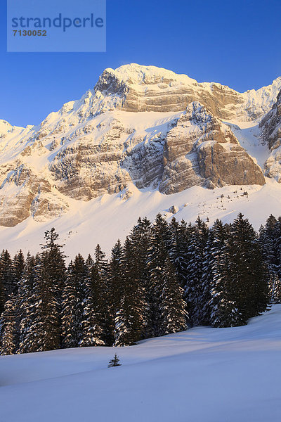 Panorama Europa Schneedecke Berg Winter Sonnenstrahl Baum Himmel Schnee Wald Holz Alpen blau Ansicht Sonnenlicht Tanne Alpenglühen Bergmassiv Sonne Schweiz Bergpanorama