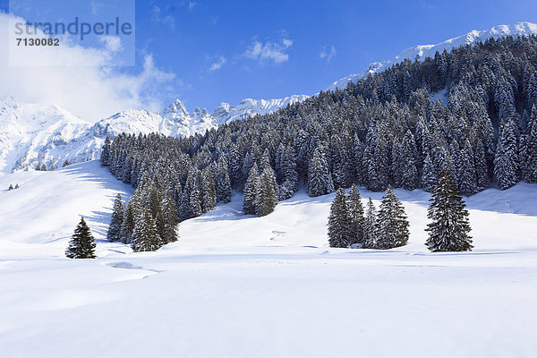 Panorama Europa Schneedecke Berg Winter Sonnenstrahl Baum Himmel Schnee Wald Holz Alpen blau Ansicht Sonnenlicht Tanne Bergmassiv Sonne Schweiz Bergpanorama