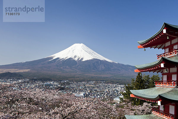 Kirschblüte  Berg  Urlaub  Landschaft  Reise  Vulkan  Fuji  Asien  Japan  Pagode  Schrein  Schnee