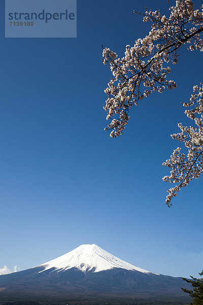 Kirschblüte  Berg  Urlaub  Landschaft  Reise  Vulkan  Fuji  Asien  Japan  Schnee