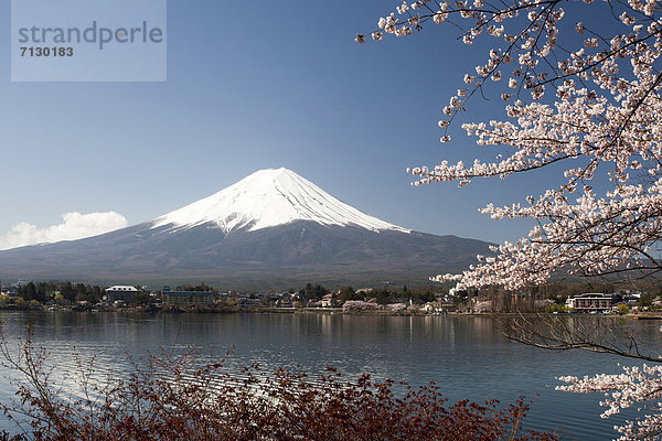 Kirschblüte  Berg  Urlaub  Landschaft  Reise  See  Vulkan  Fuji  Asien  Japan  Schnee  Yamaguchi