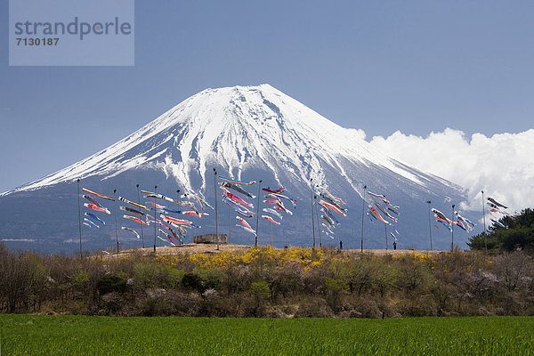Karpfen  Cyprinus carpio  Berg  Urlaub  Reise  Vulkan  Fahne  Garten  Fuji  Asien  Karpfen  Japan  japanisch  Schnee