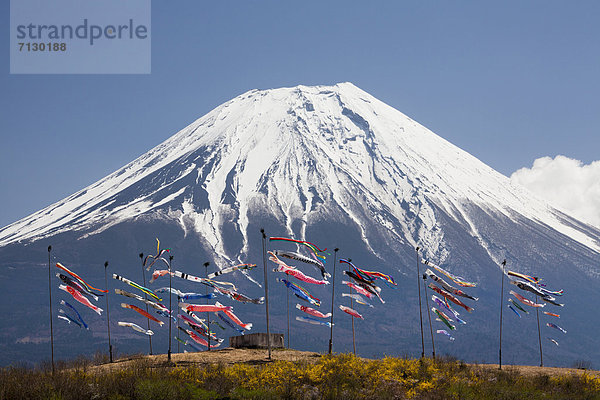 Karpfen  Cyprinus carpio  Berg  Urlaub  Reise  Vulkan  Fahne  Garten  Fuji  Asien  Karpfen  Japan  japanisch  Schnee