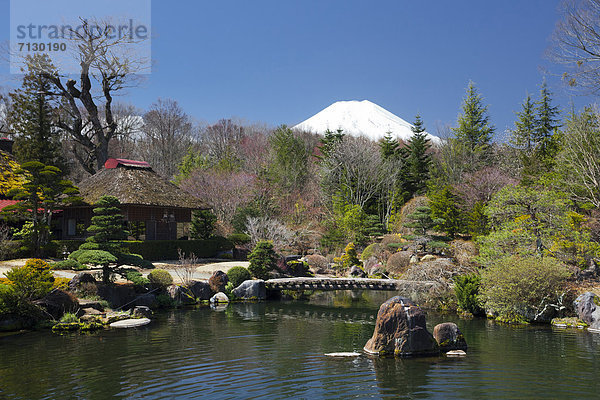 Berg  Urlaub  Reise  Vulkan  Garten  Fuji  Asien  Japan  Schnee
