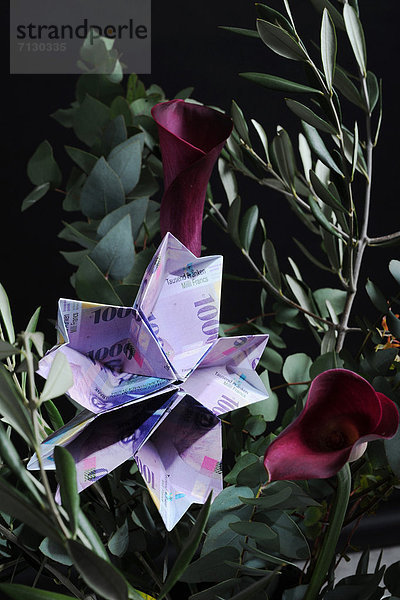 Papier  Finanzen  Blume  Wirtschaft  Wachstum  Geld  Erfolg  Reichtum  Franken  Origami  Schweizer Franken  Schweiz