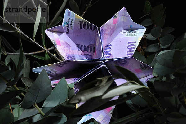 Papier  Finanzen  Blume  Wirtschaft  Wachstum  Geld  Erfolg  Reichtum  Franken  Origami  Schweizer Franken  Schweiz