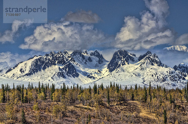 Vereinigte Staaten von Amerika  USA  Berg  Amerika  Landschaft  Natur  Vorgebirge  Alaska