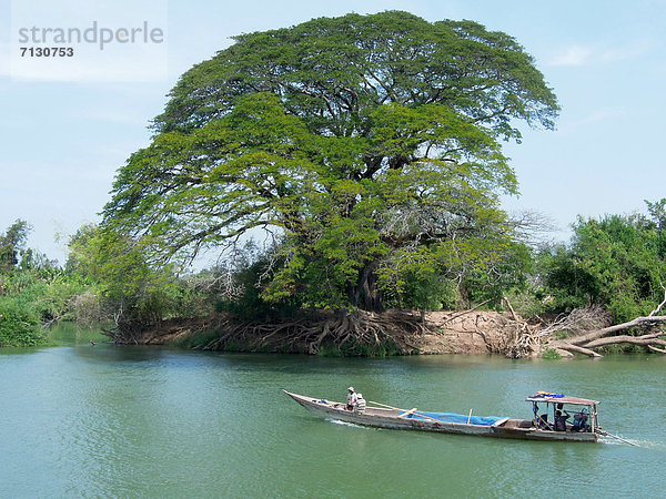 Baum  Boot  fließen  Fluss  Asien  Laos